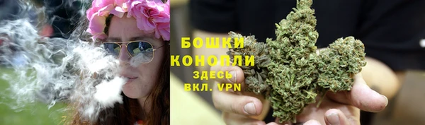 гашик Богородицк