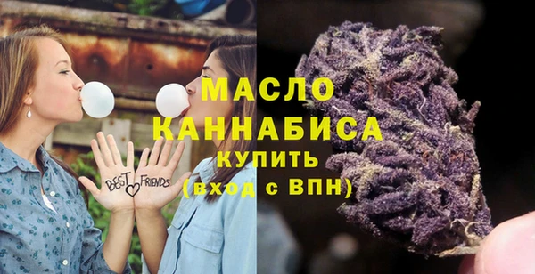 гашик Богородицк