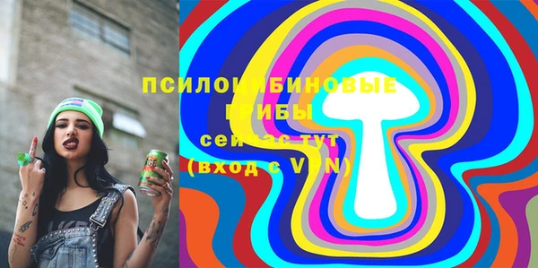 mdma Богданович
