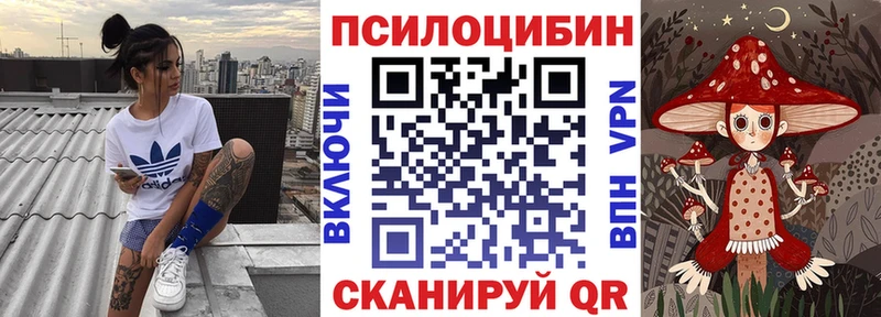 omg рабочий сайт  Ноябрьск  Псилоцибиновые грибы Psilocybe 