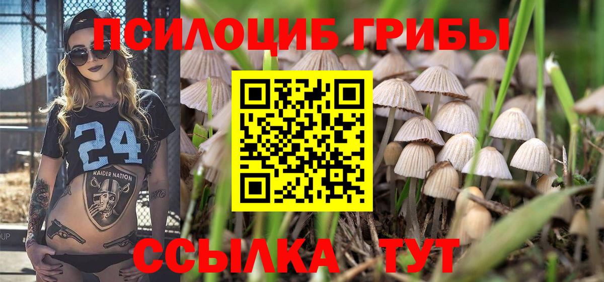 наркошоп  Псилоцибиновые грибы Magic Shrooms  Вход с VPN  Ноябрьск 